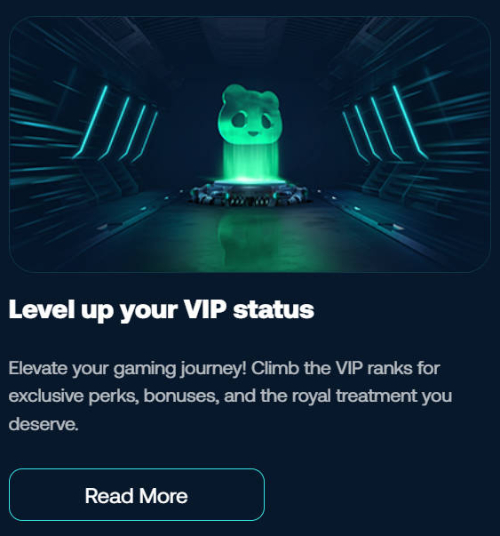 betpanda vip status