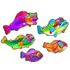 Big Bass Rock and Roll School of Fish