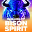 Bison Spirit Logo Small