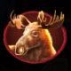 Bison Spirit Moose Symbol