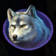 Bison Spirit Wolf Symbol