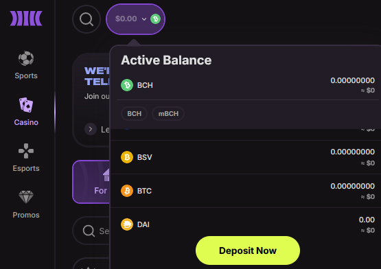 Making a crypto deposit at Cloudbet casino.