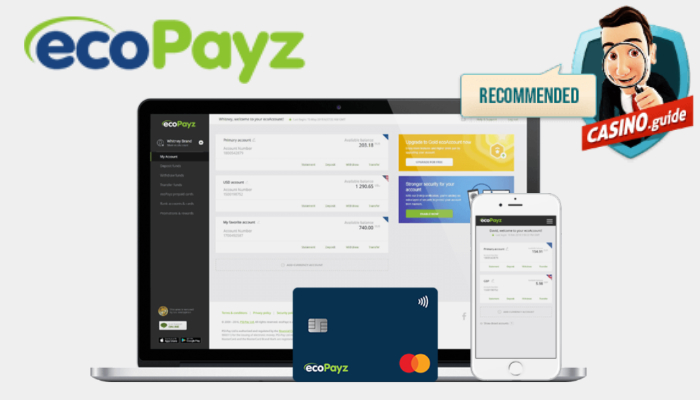 Do Not Fall For This Ecopayz Review Scam