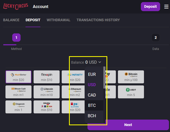 Once you've added different currencies to your account wallet, you can easily switch between them when depositing and/or choose your payment method