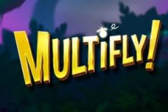 Multifly Logo