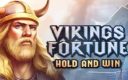 Playson Vikings Fortune
