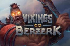 Vikings Go Berzerk Logo