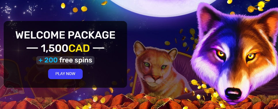 Woo Casino No Deposit Bonus & Promotions 2024